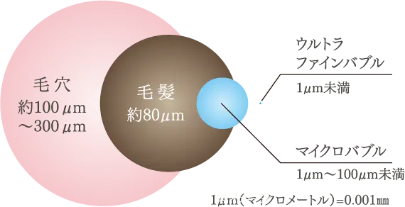 ウルトラファインバブルとマイクロバブルのサイズ感