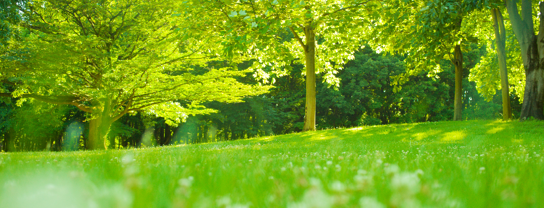 アメイズ亀山ビューテラス