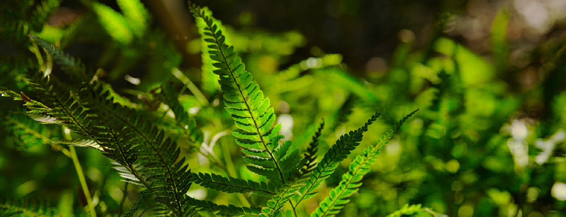 アメイズ串木野ビューテラス