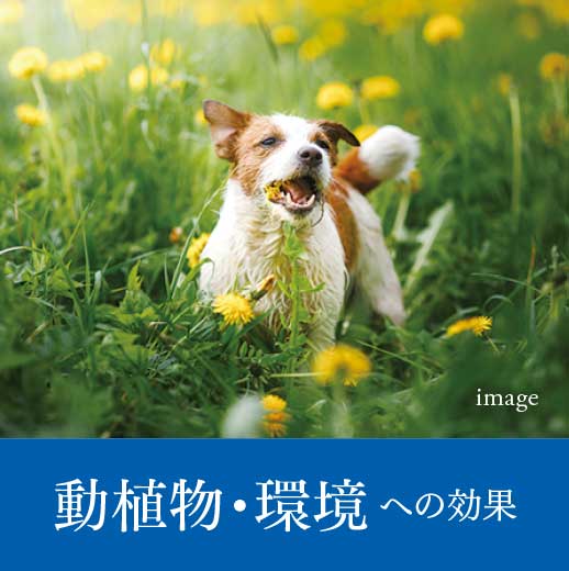 動植物・環境への効果