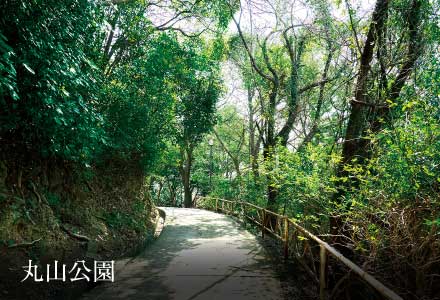 丸山公園